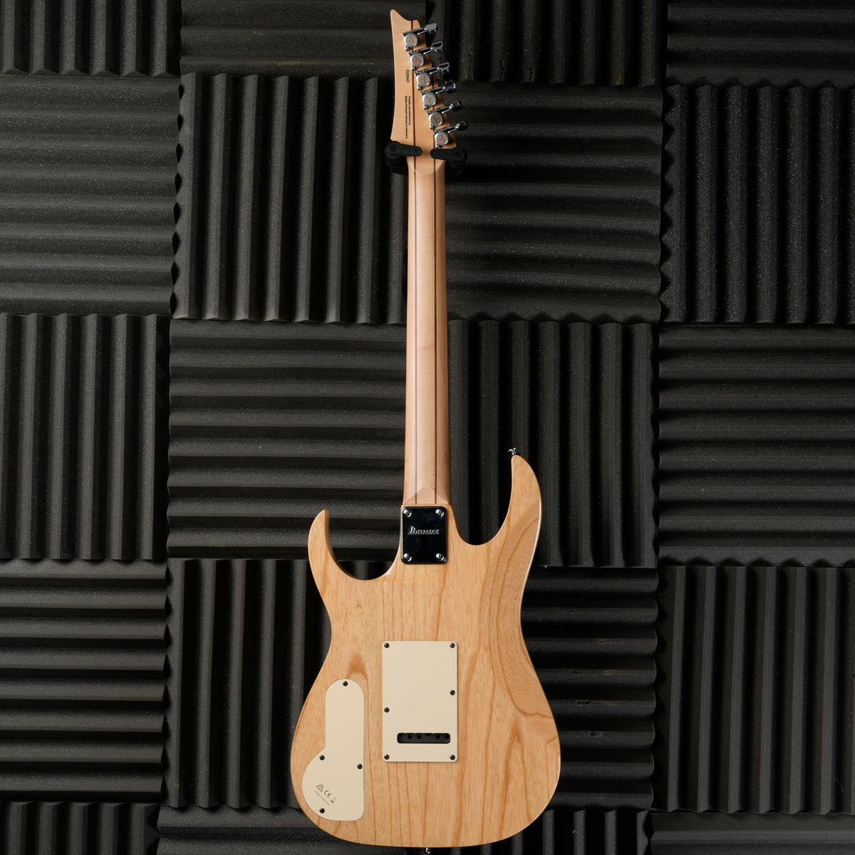 Ibanez PGM80P-NT Paul Gilbert Signature 2015 - 2017 - Natural