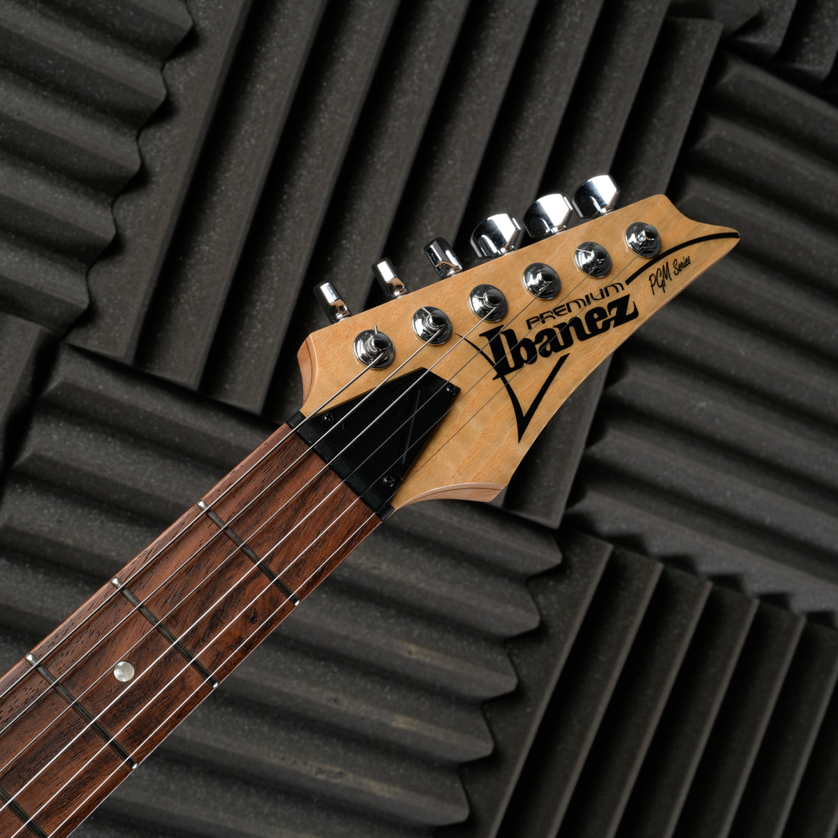 Ibanez PGM80P-NT Paul Gilbert Signature 2015 - 2017 - Natural