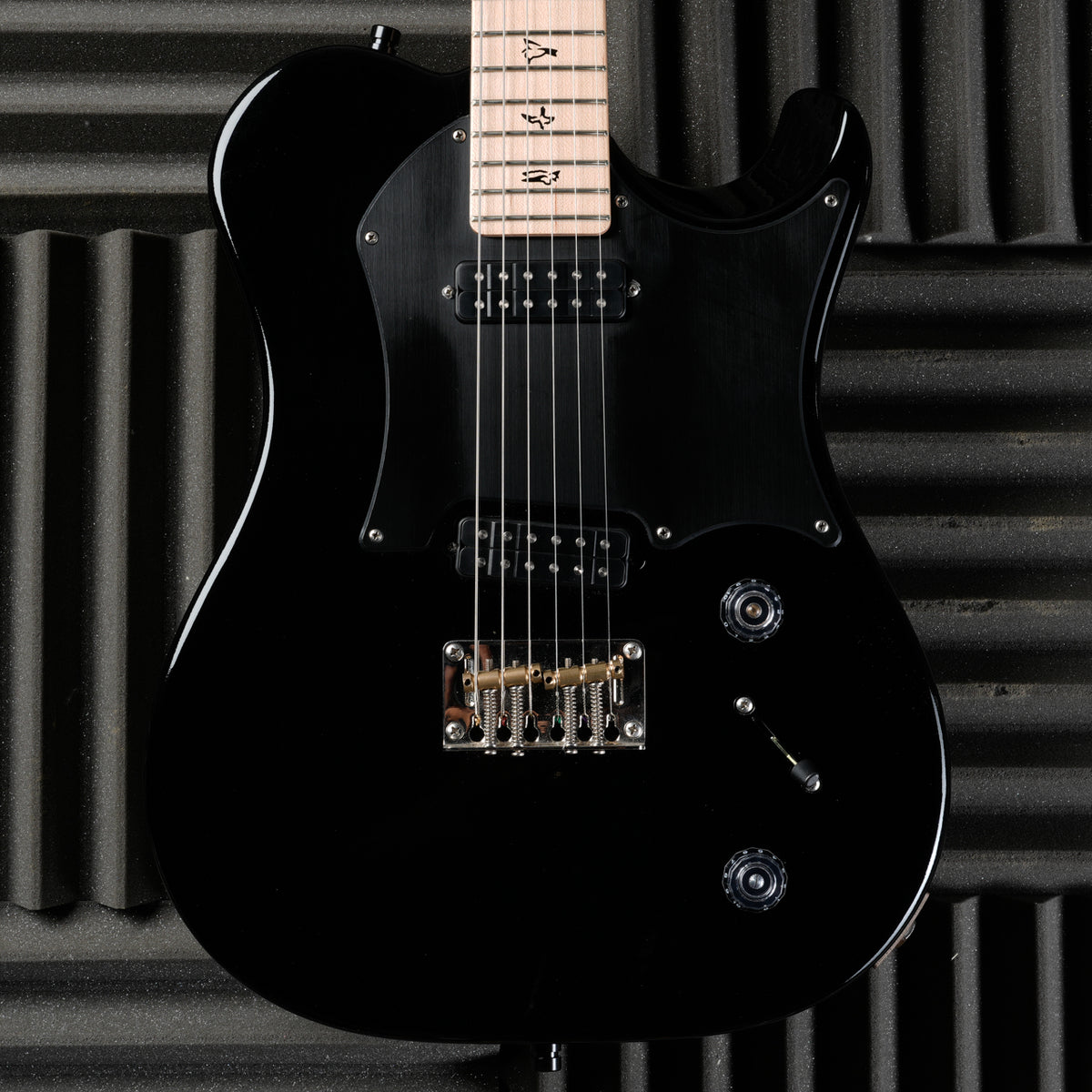 PRS Myles Kennedy Signature 2024 - Black