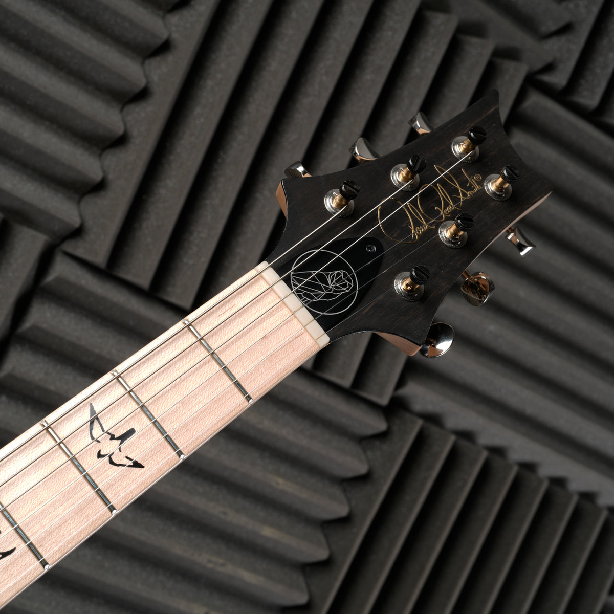 PRS Myles Kennedy Signature 2024 - Black