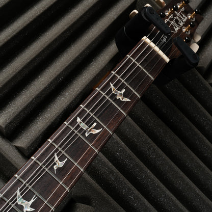 PRS Modern Eagle V 2025 - Aurora Borealis