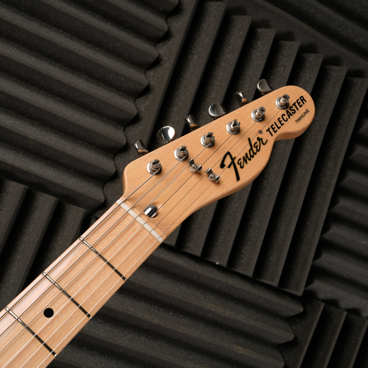 Fender TN-72 Thinline Telecaster Reissue MIJ - 2006 - Natural